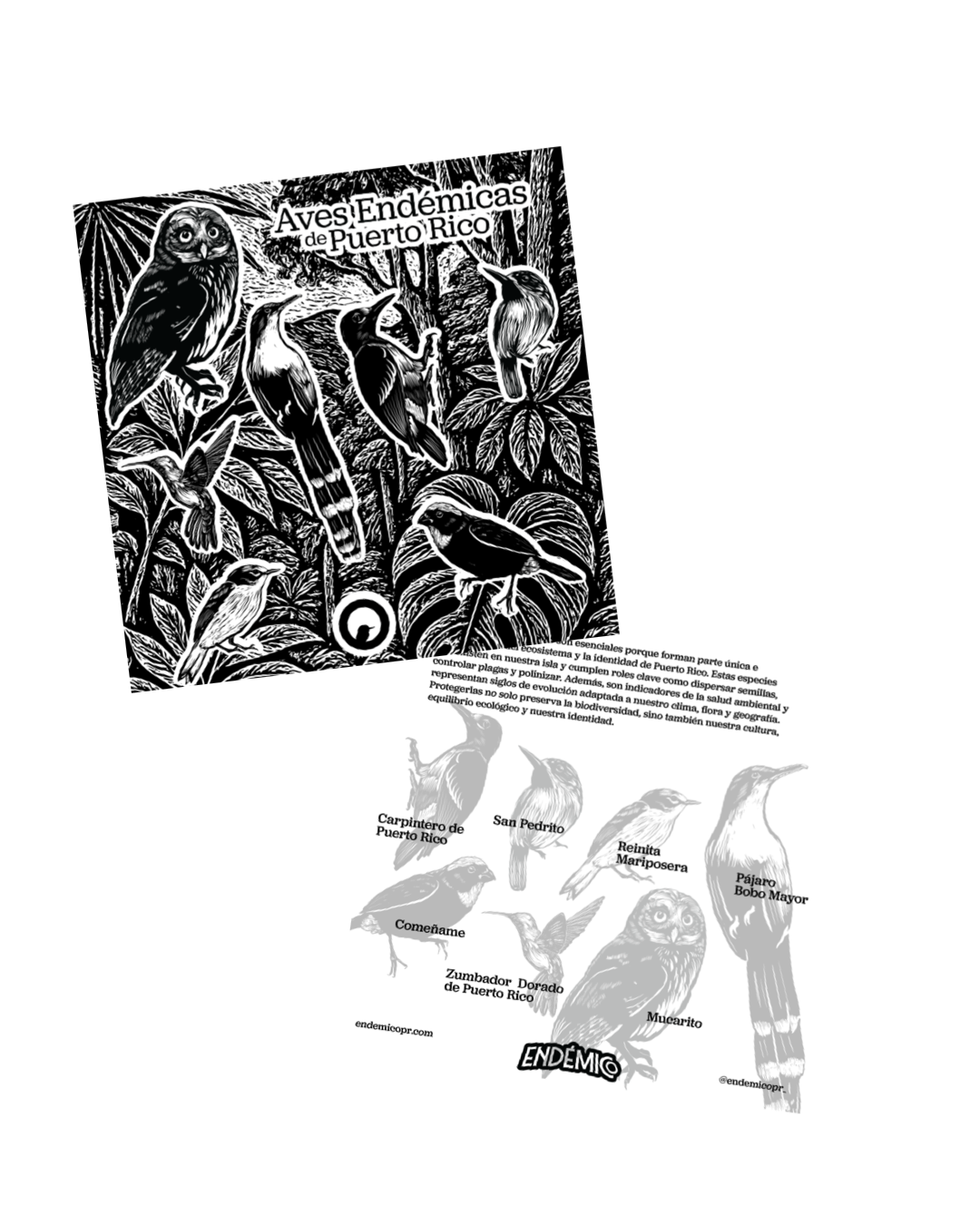 Aves Endémicas— Hoja Sticker