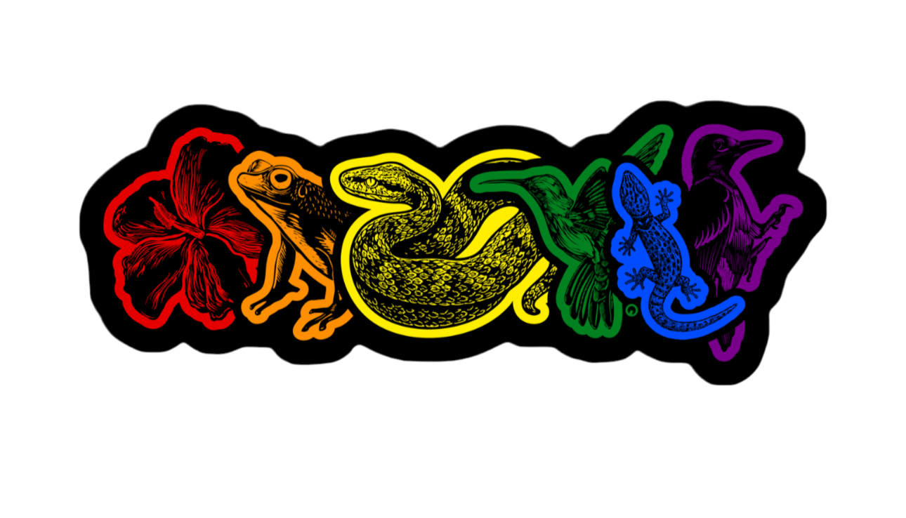 Diversidad Sticker