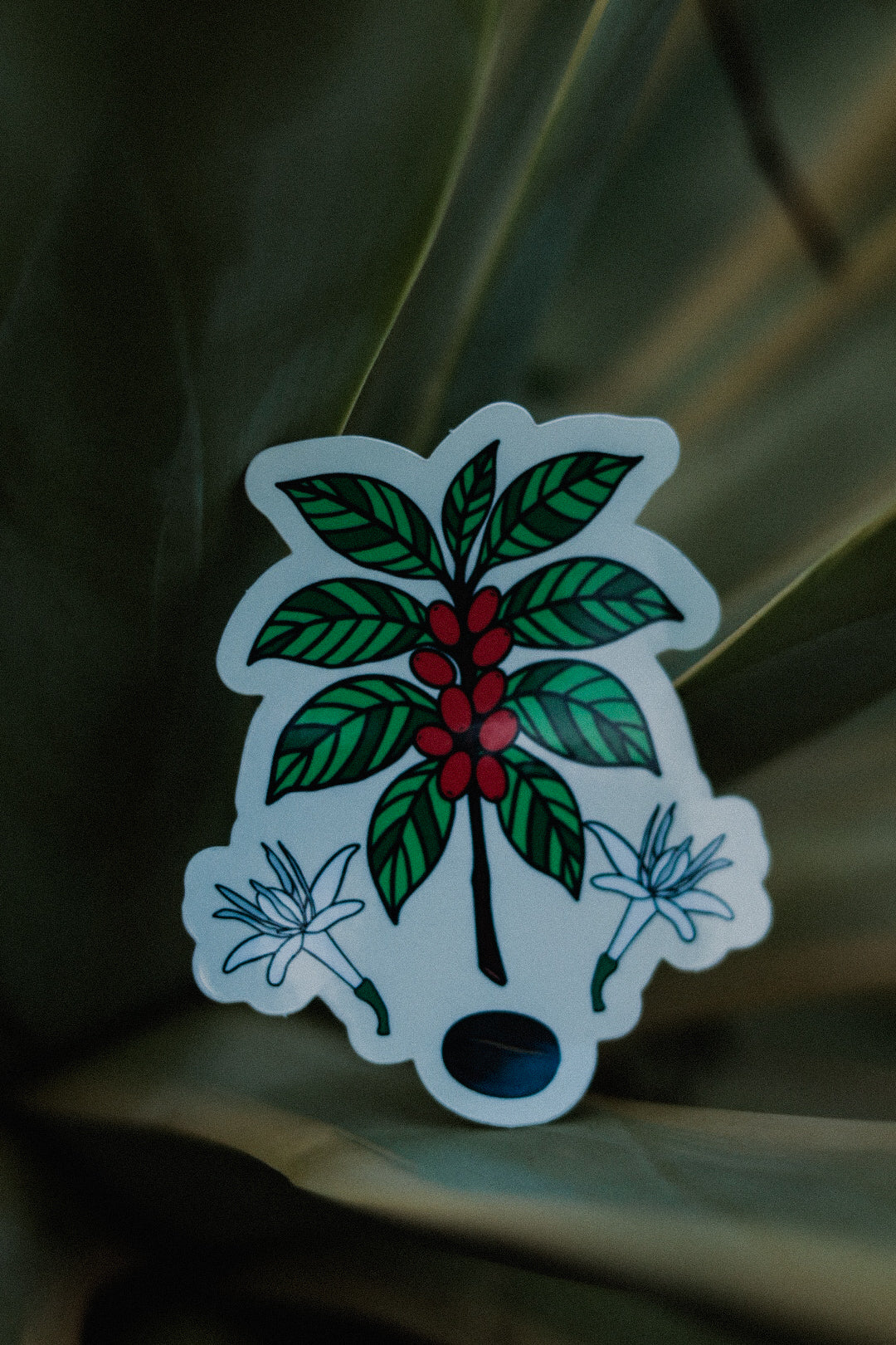 Café Sticker
