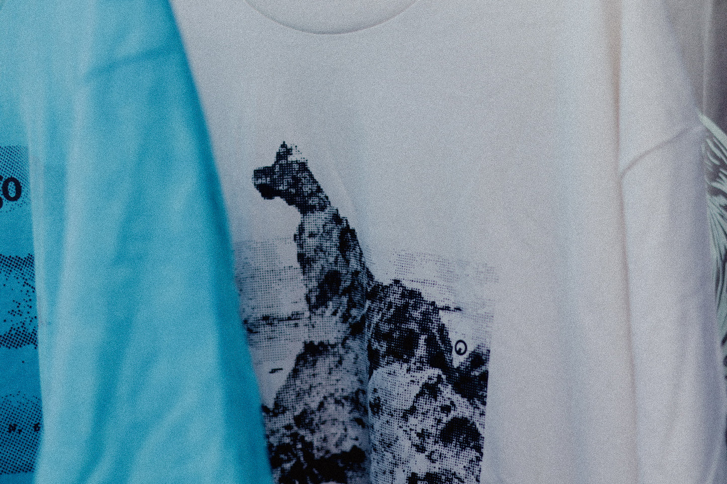 Perrito de Piedra Oversized Boxy Tee