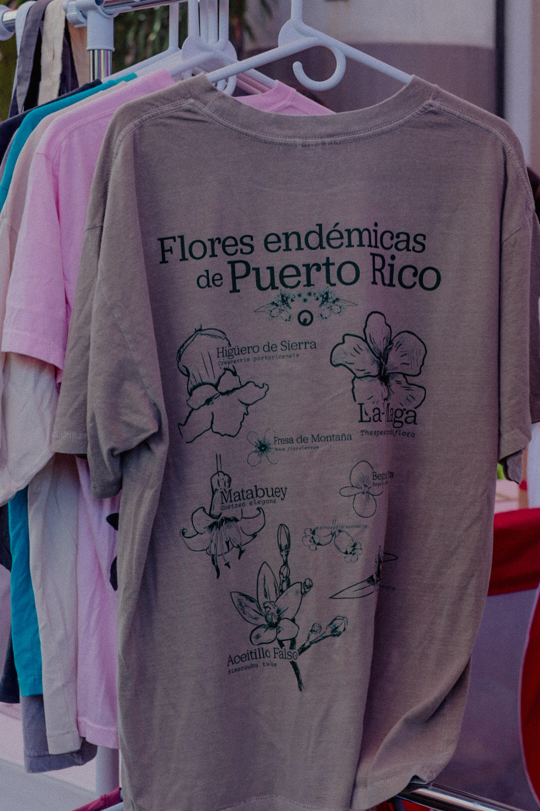 Flores Endémicas Oversized Tee
