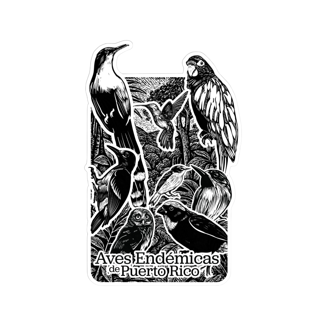Aves Endémicas Sticker