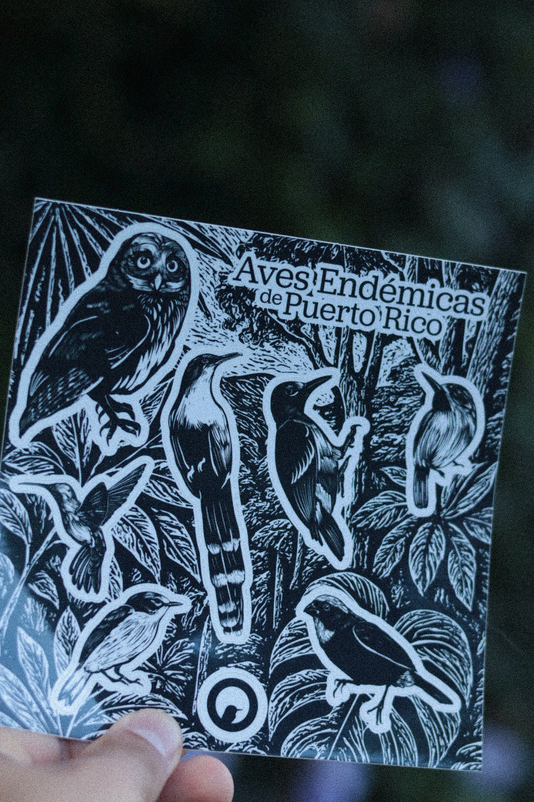 Aves Endémicas— Hoja Sticker