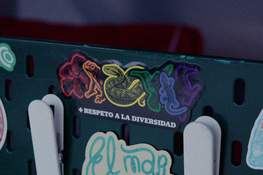 Diversidad Sticker