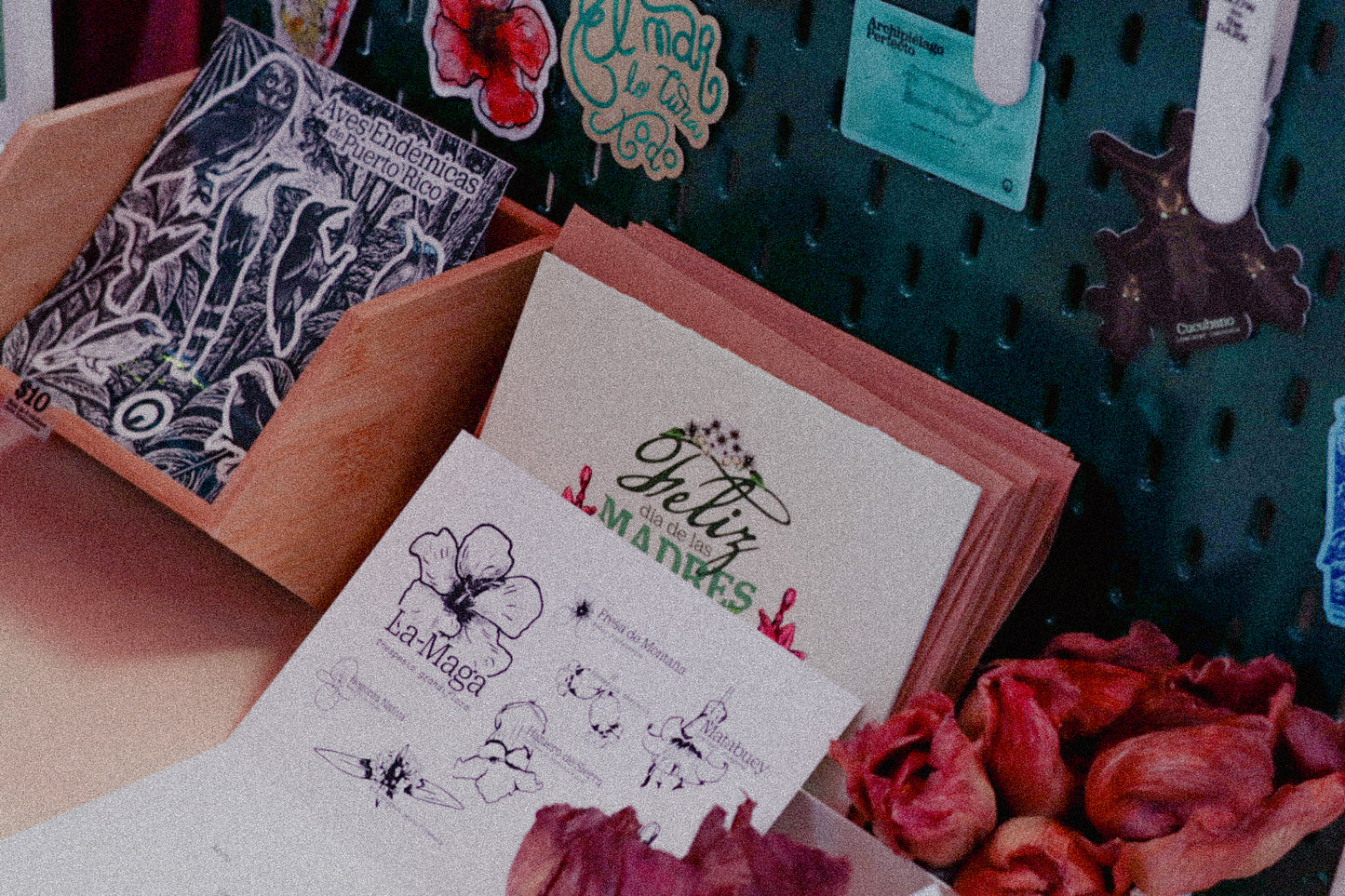 Tarjeta Flores Endémicas— Madres 2025