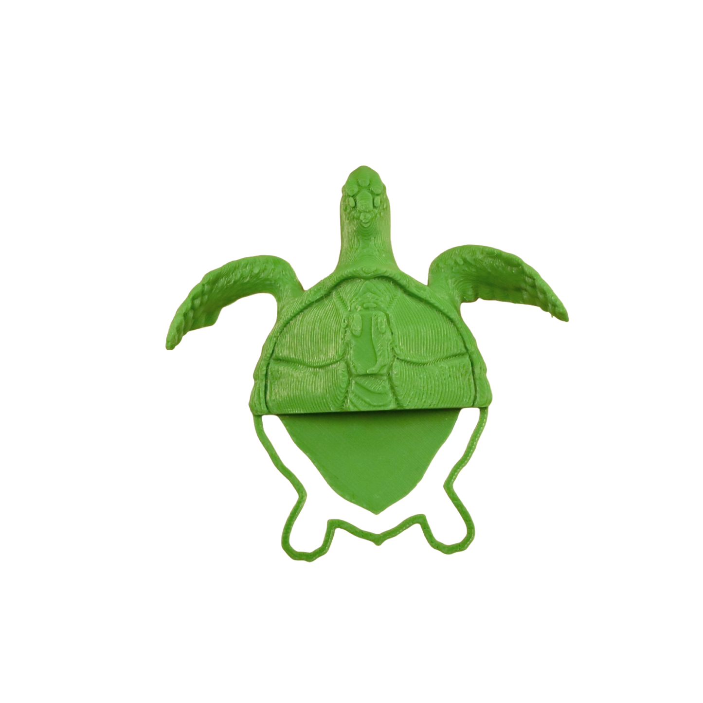 Chelonia mydas Bookmark3D