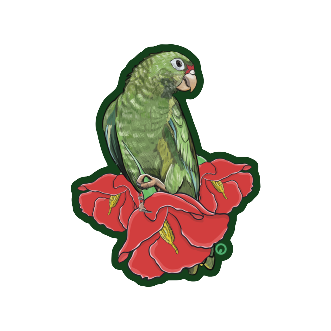Cotorra Puertorriqueña Sticker