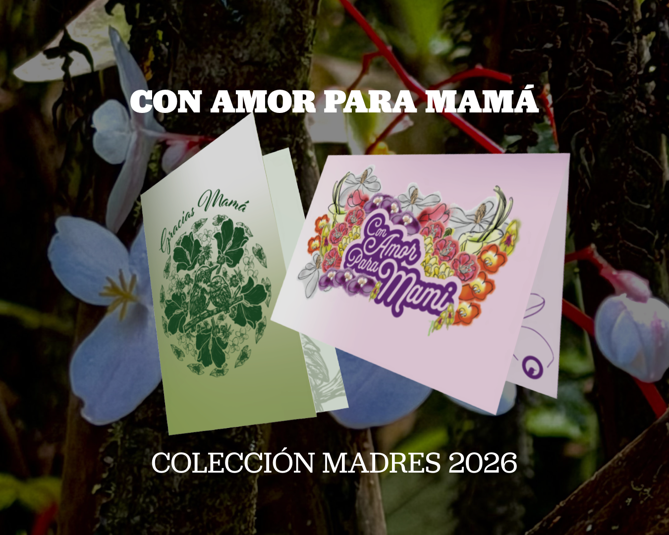 Madres 2026