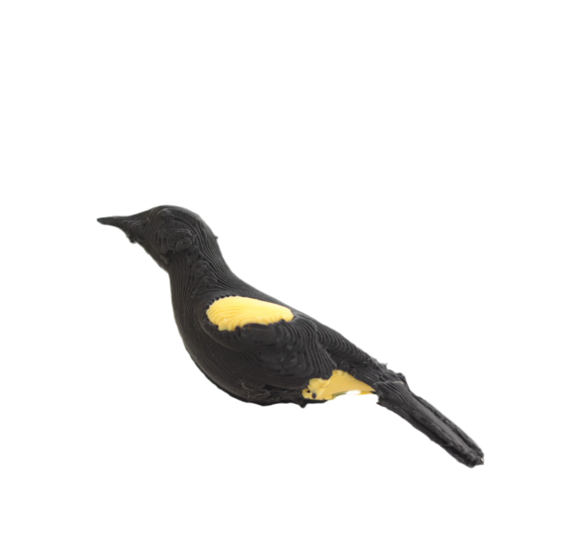 Calandria pin 3D