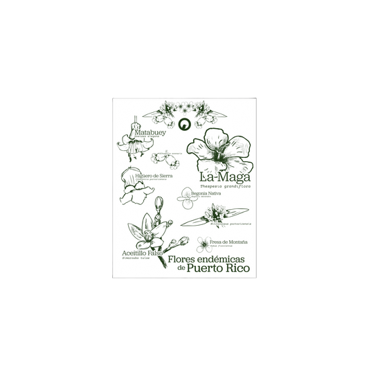 Flores Endémicas Postcard