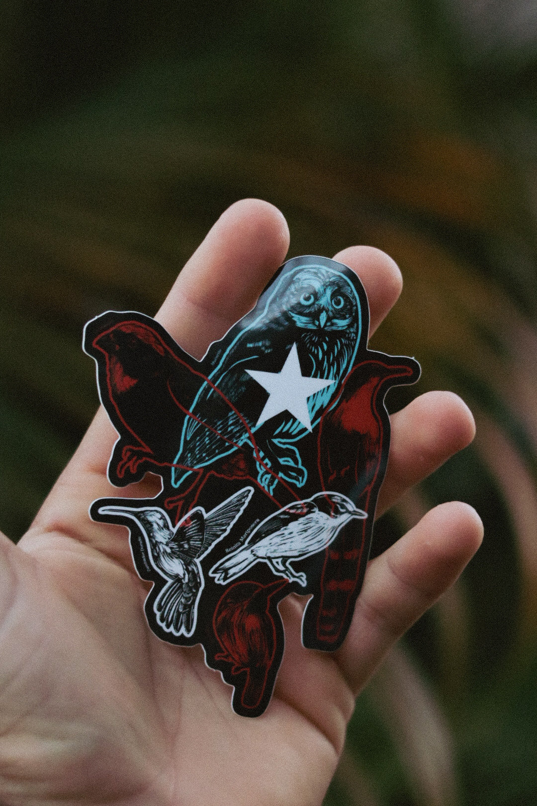 Aves Endémicas Bandera Sticker