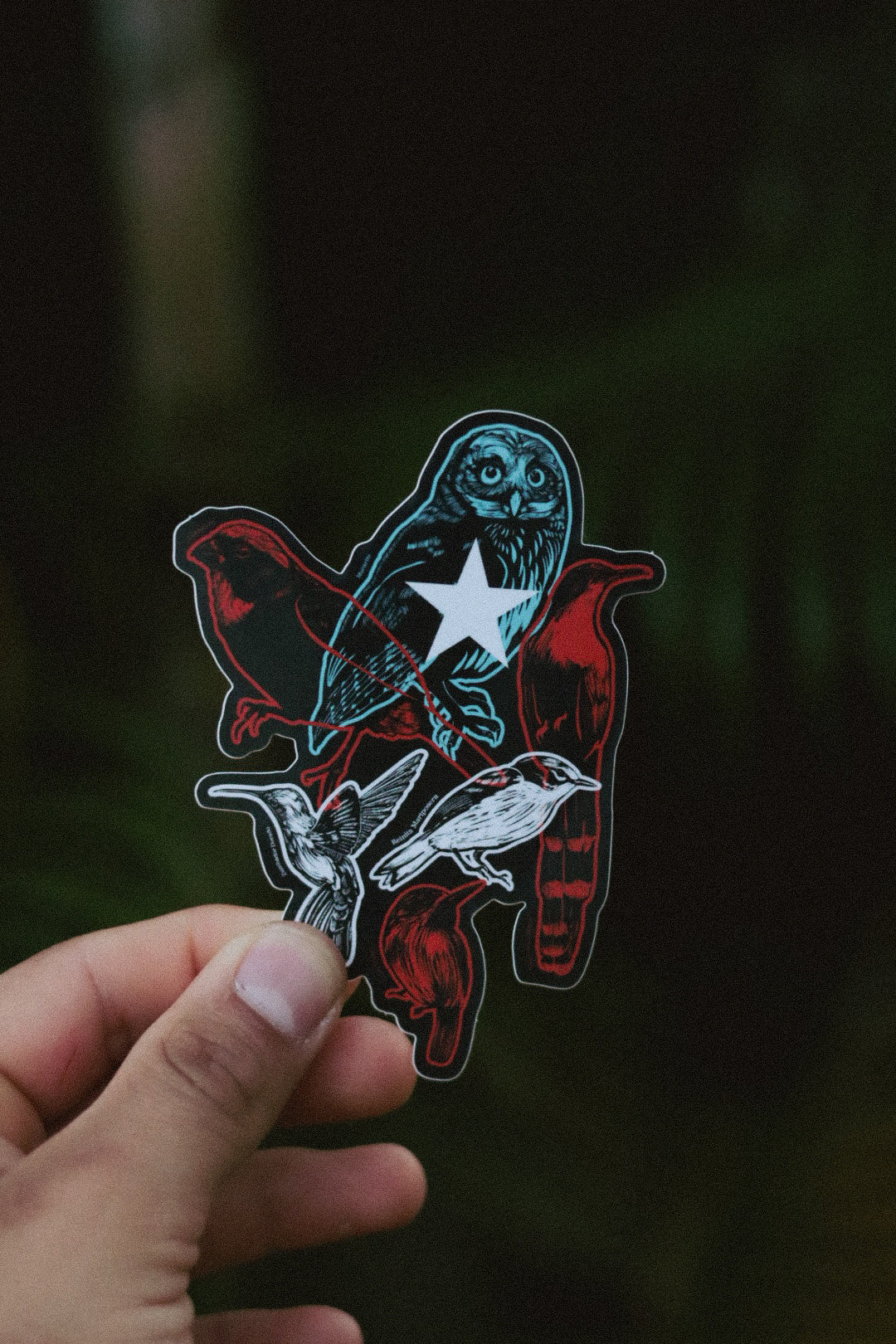 Aves Endémicas Bandera Sticker