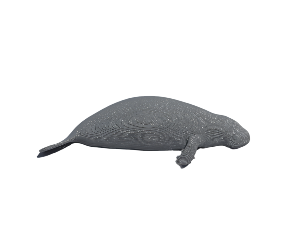 Manatí (lado) pin 3D