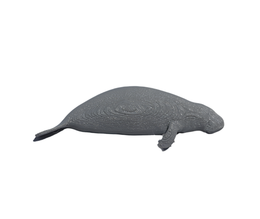 Manatí (lado) pin 3D