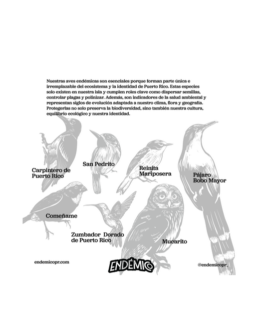 Aves Endémicas— Hoja Sticker