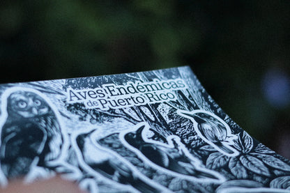 Aves Endémicas— Hoja Sticker