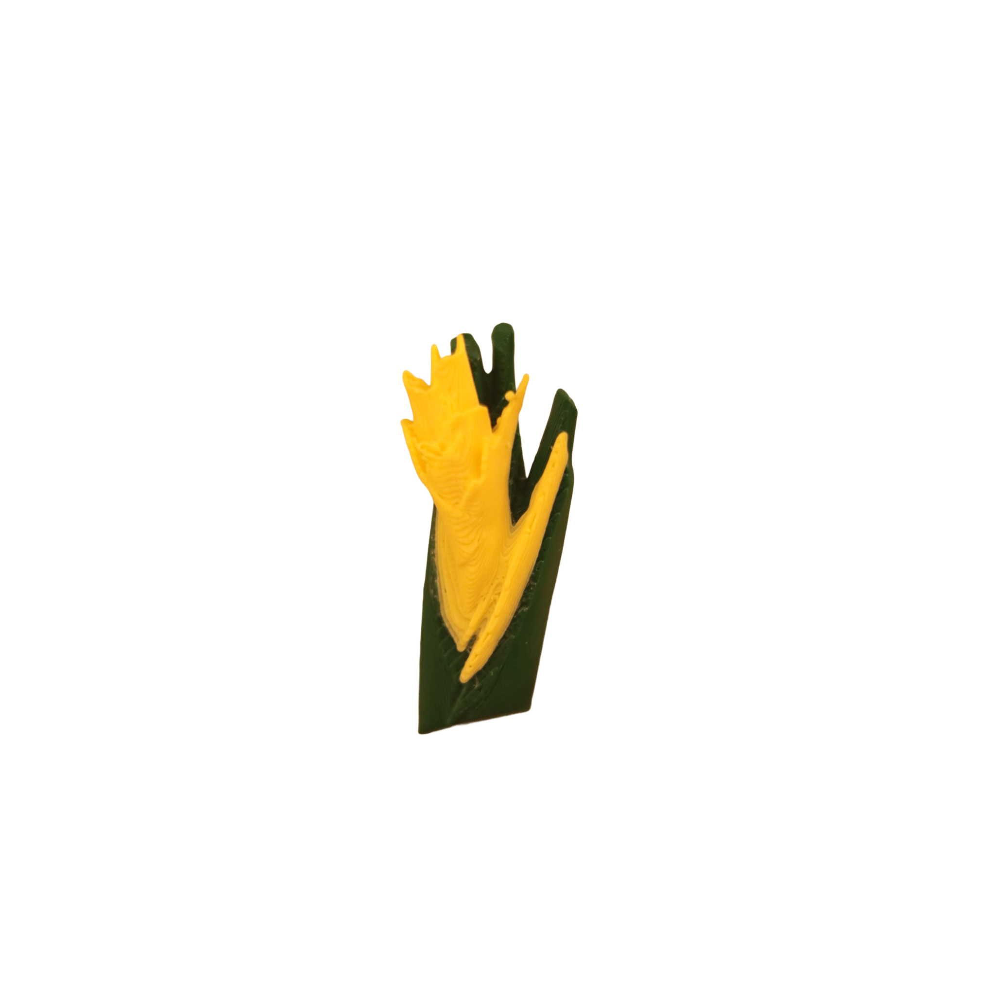 Heliconia caribaea pin 3D