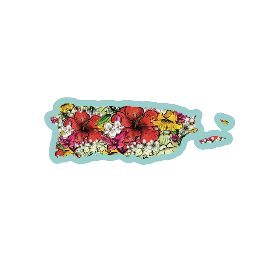 Mapa pr flores