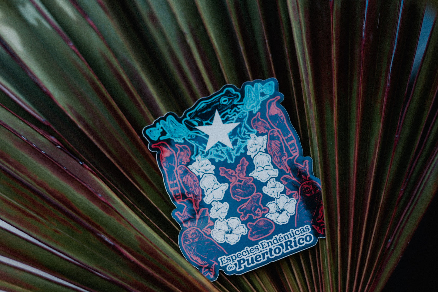 Bandera Especies Endémicas Sticker