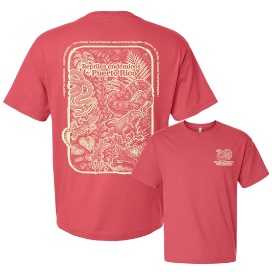 Reptiles Endémicos Oversized Tee