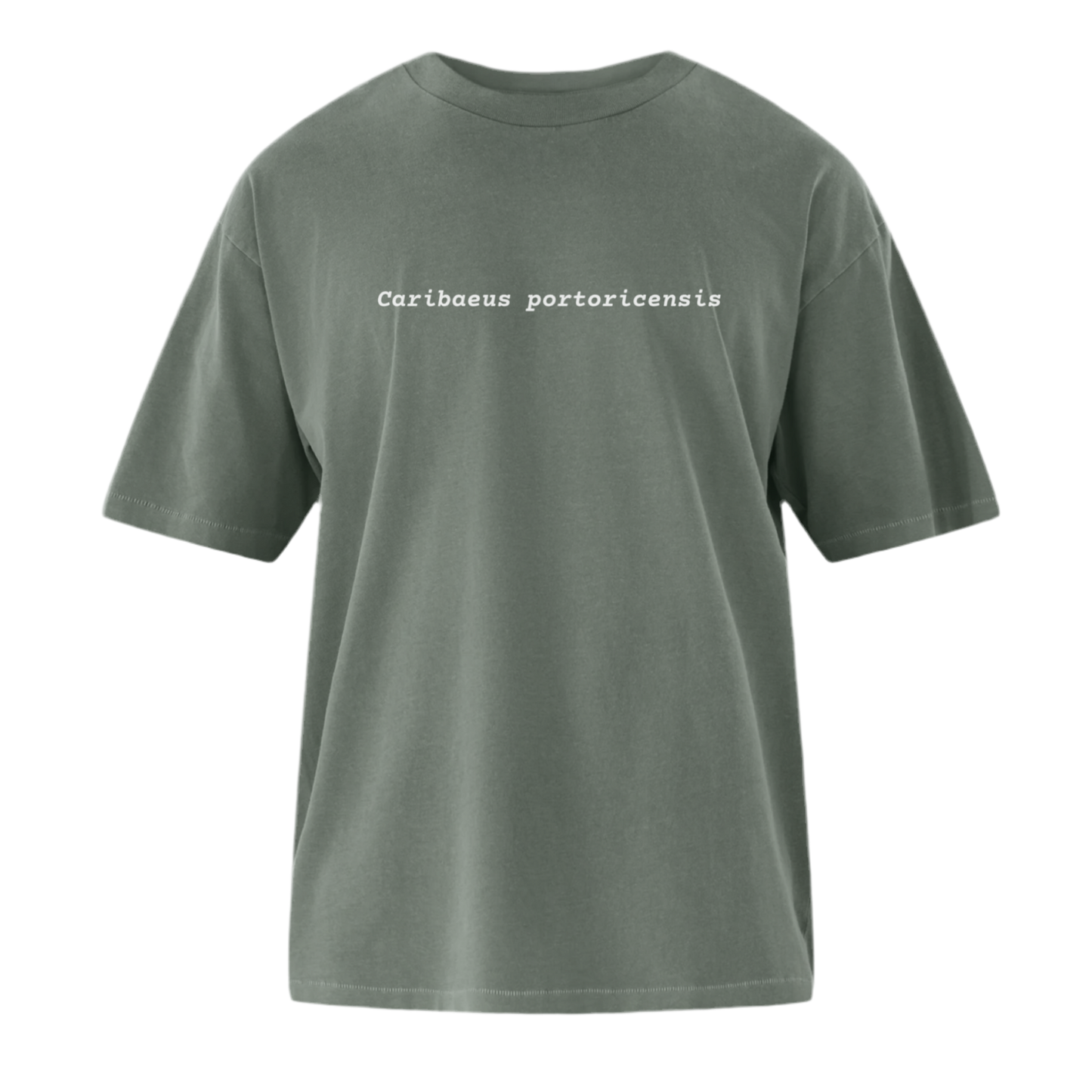 Caribaeus portoricensis Oversized Tee