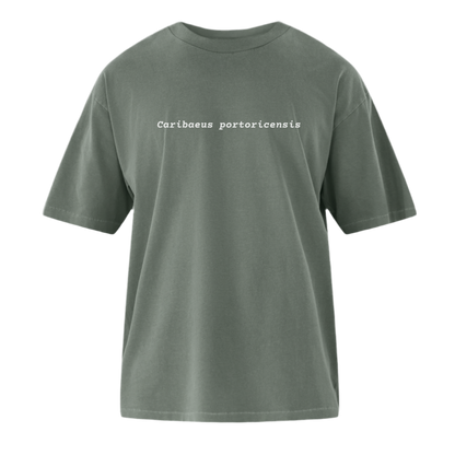 Caribaeus portoricensis Oversized Tee