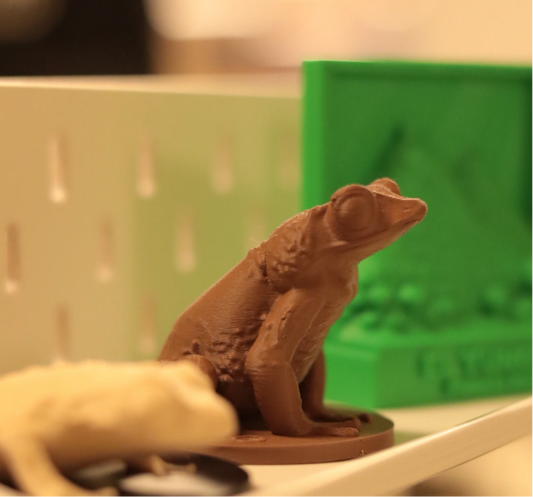 Sapo Concho figura 3D