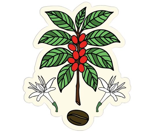 Café Sticker