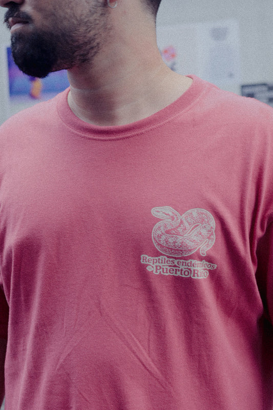 Reptiles Endémicos Oversized Tee