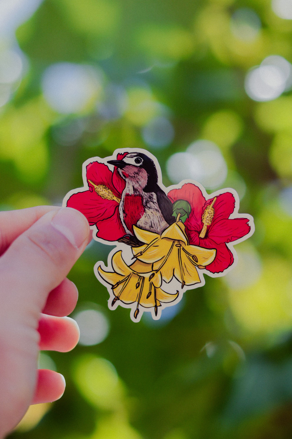 Carpintero Sticker
