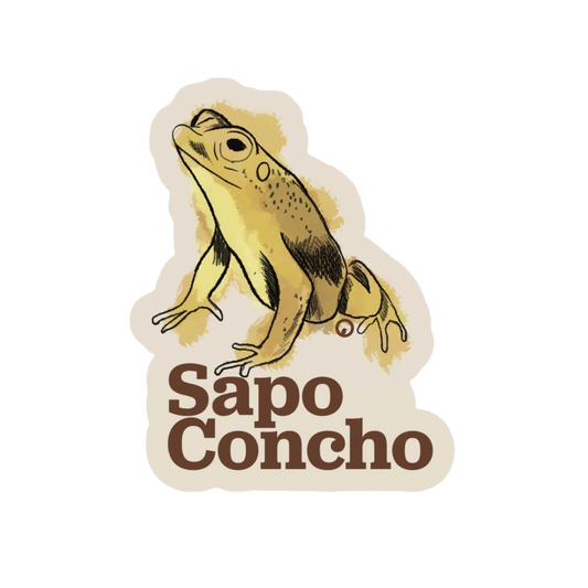 Sapo Concho