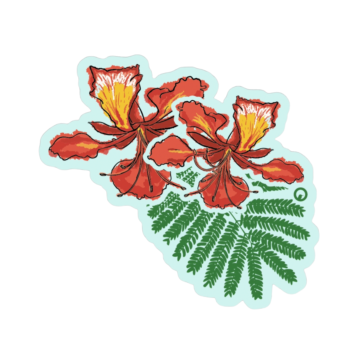 Flamboyán