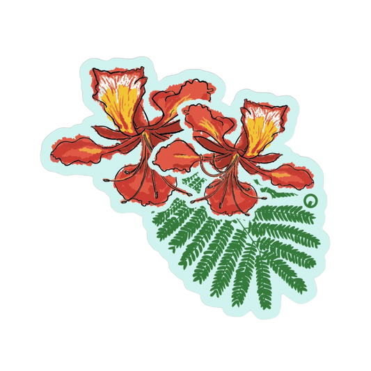 Flamboyán