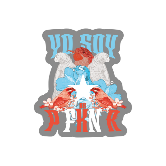P fkn R sticker