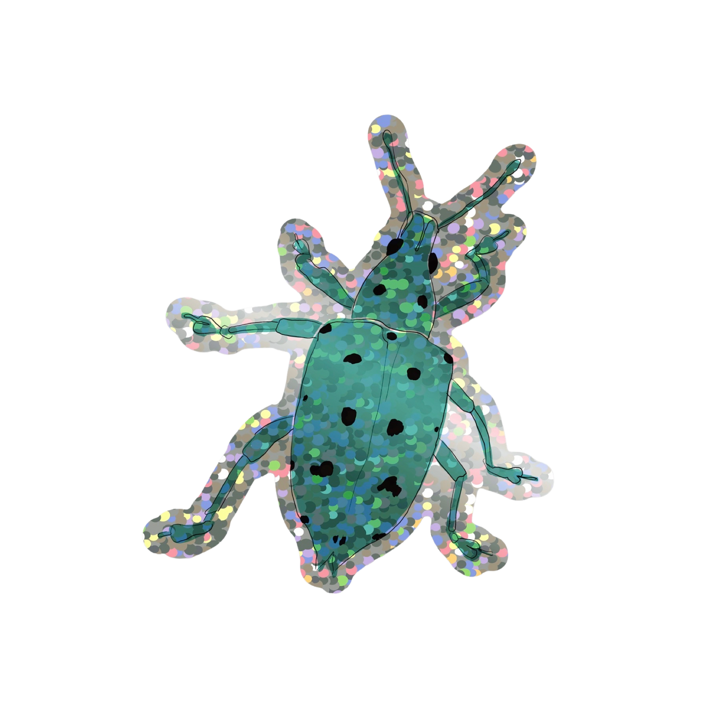 Gorgojo turquesa sticker