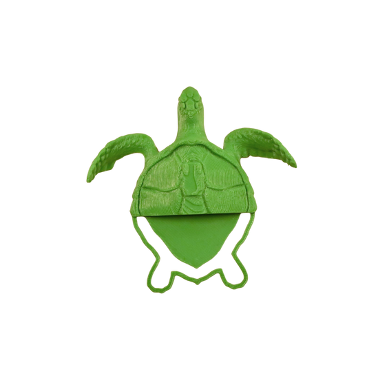 Chelonia mydas Bookmark3D