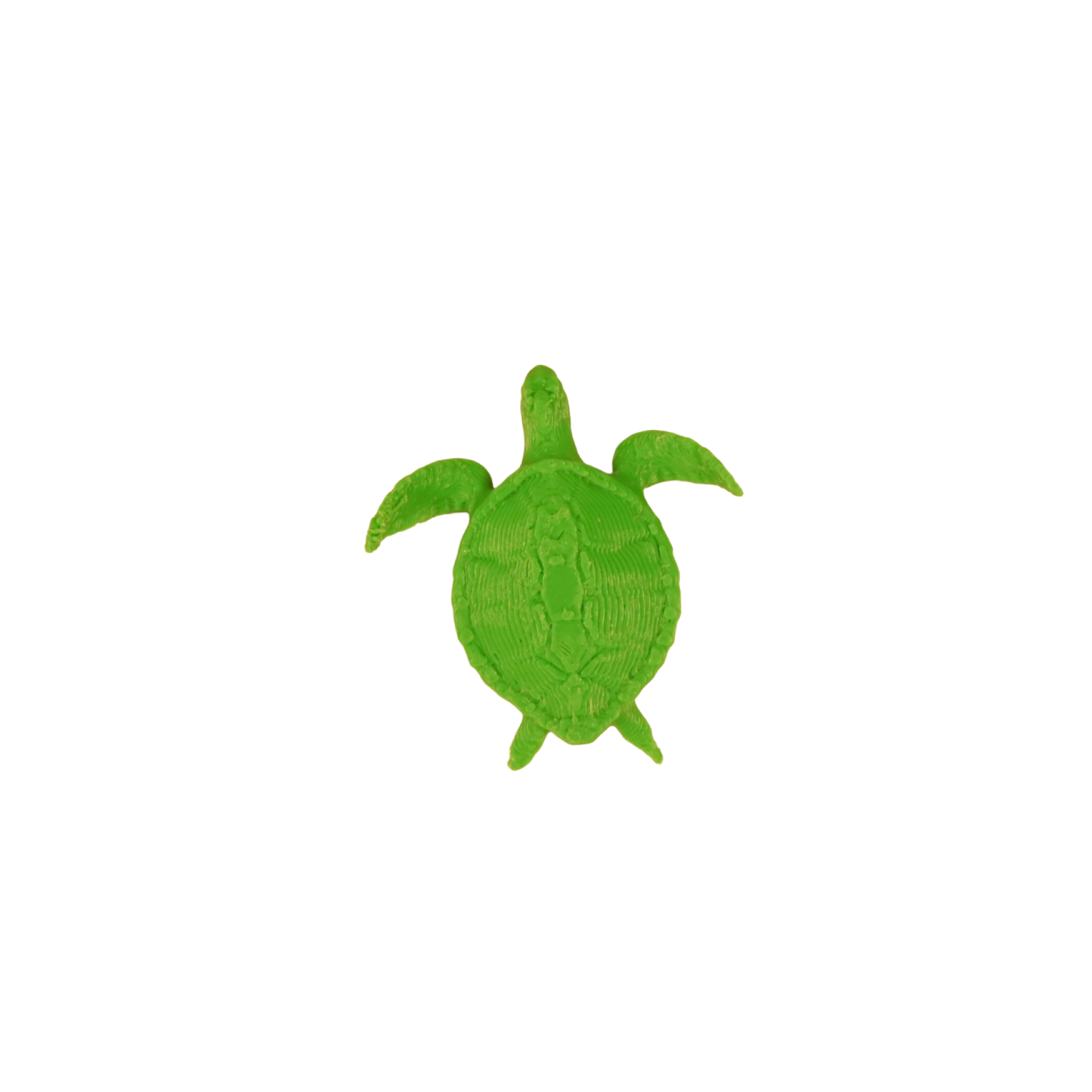 Chelonia mydas pin 3D