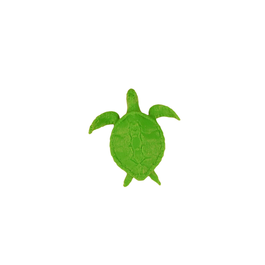 Chelonia mydas pin 3D