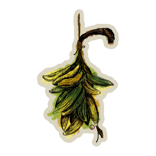 Plátanos Sticker