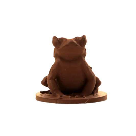 Sapo Concho figura 3D