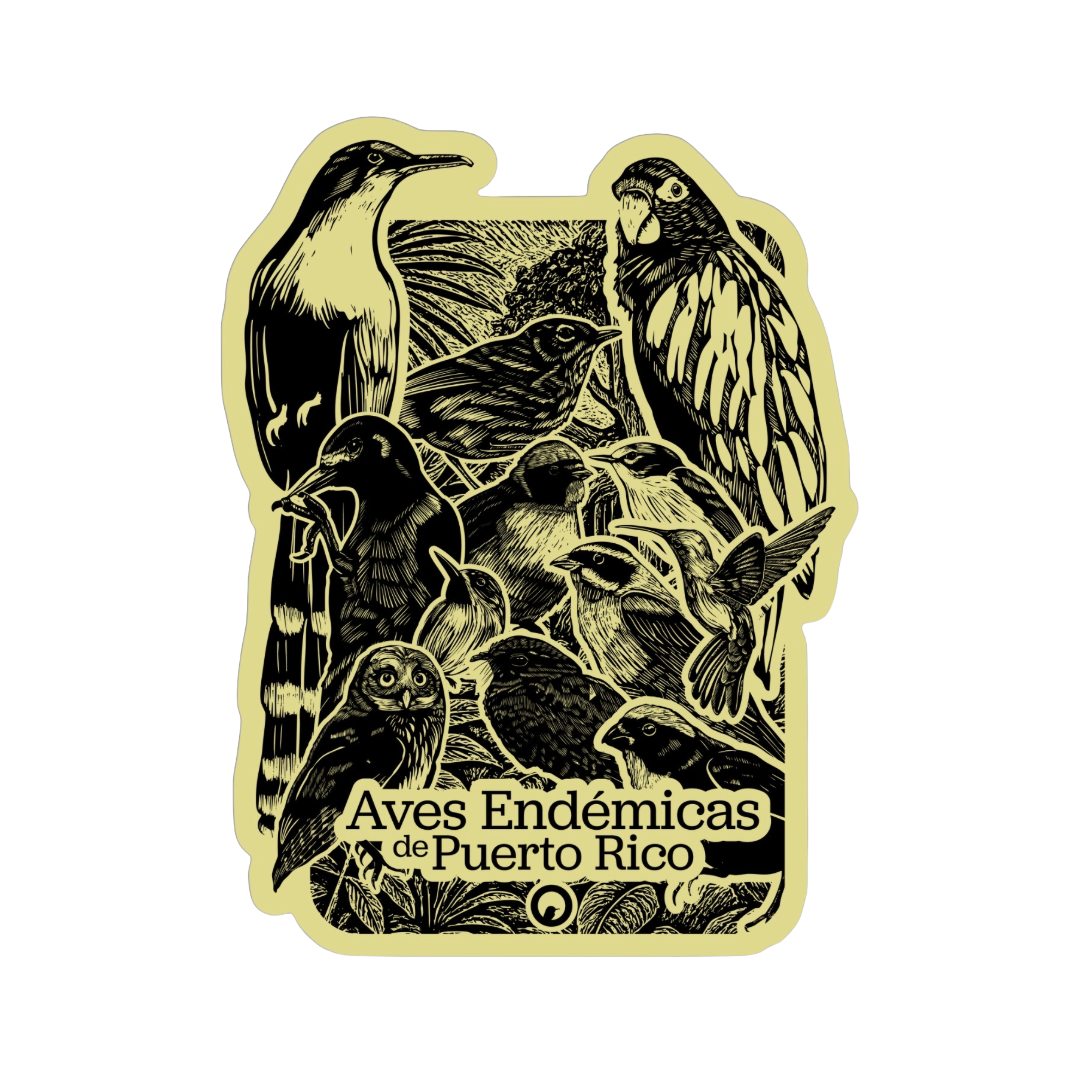 Aves Endémicas Sticker