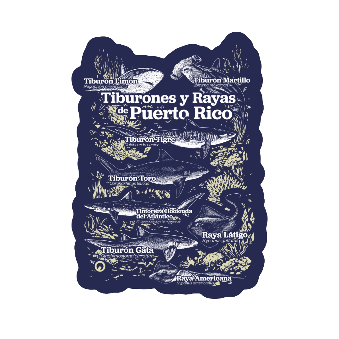 Tiburones y Rayas de PR sticker