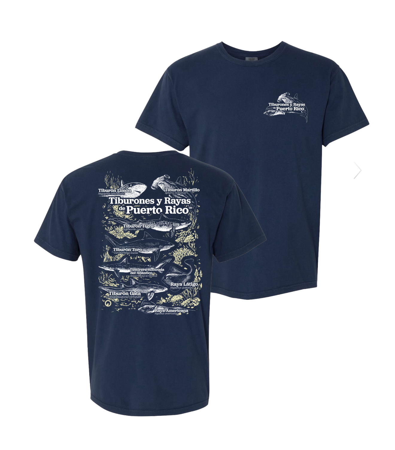 Tiburones y Rayas de PR Heavyweight Shirt
