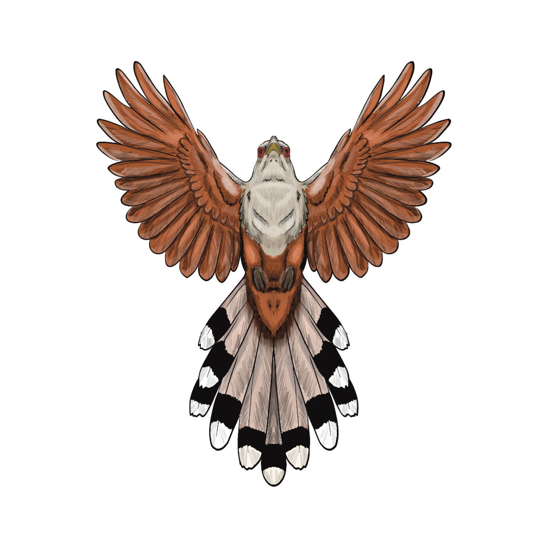 Pájaro Bobo Mayor Sticker