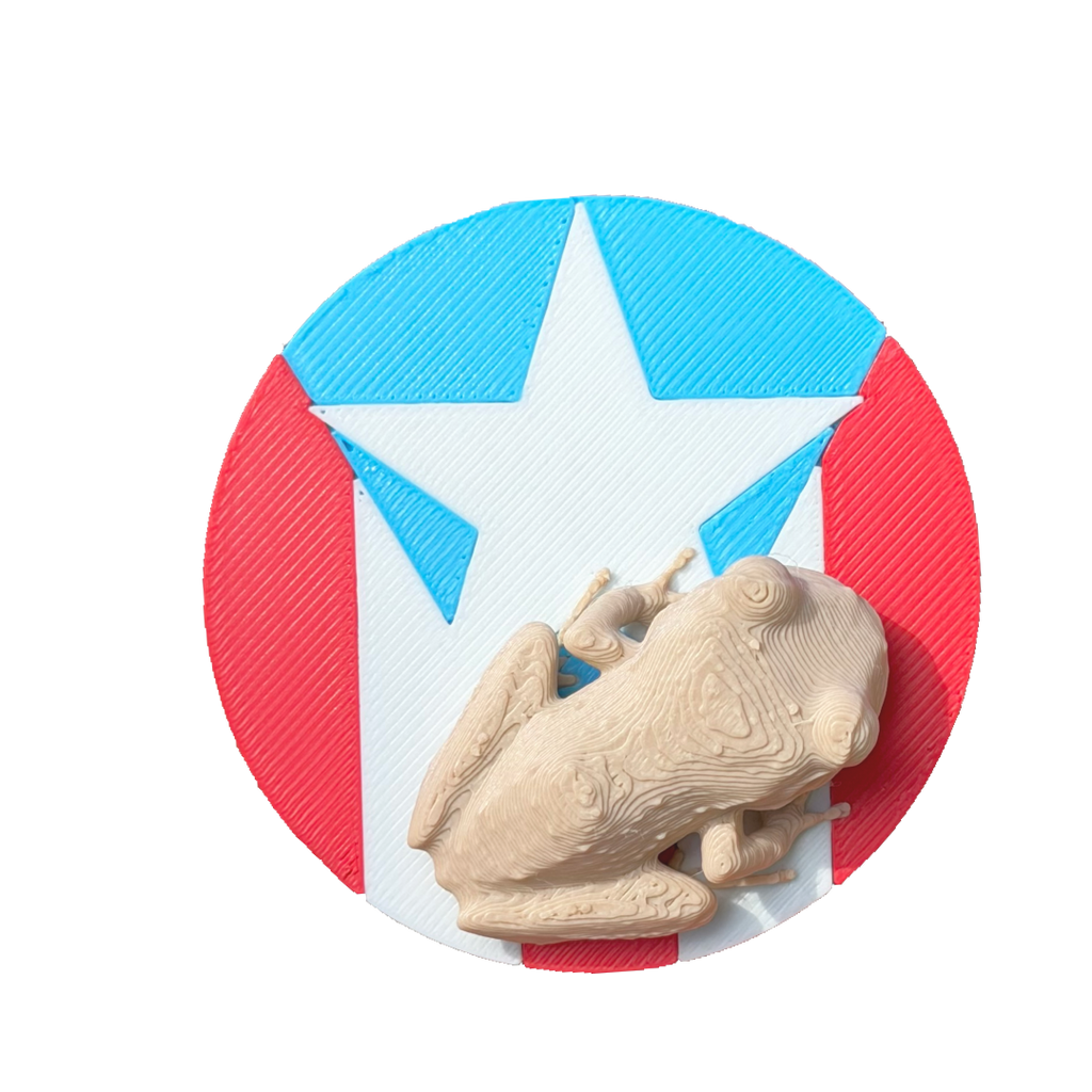 Coquí figura 3D