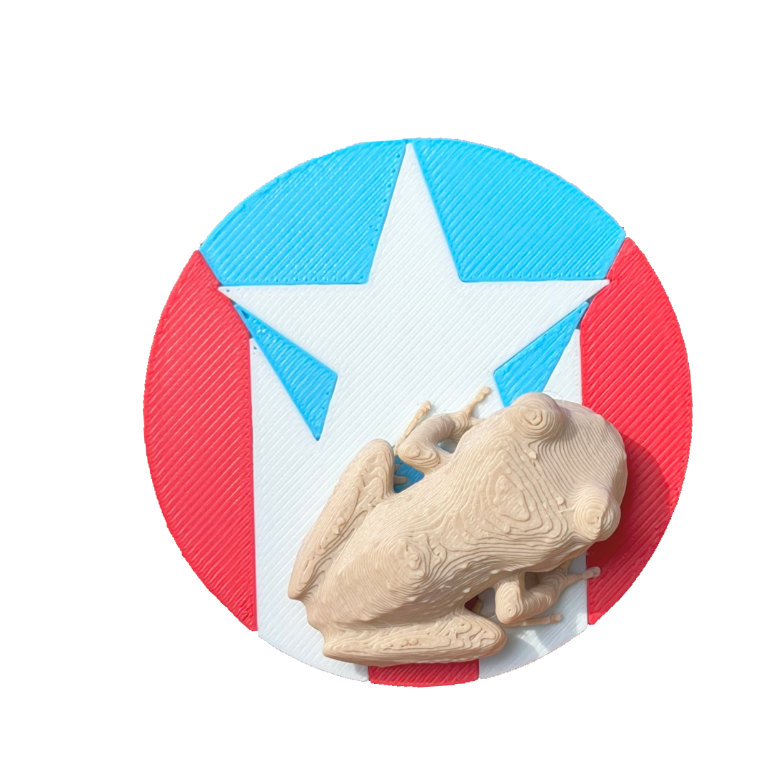 Coquí figura 3D