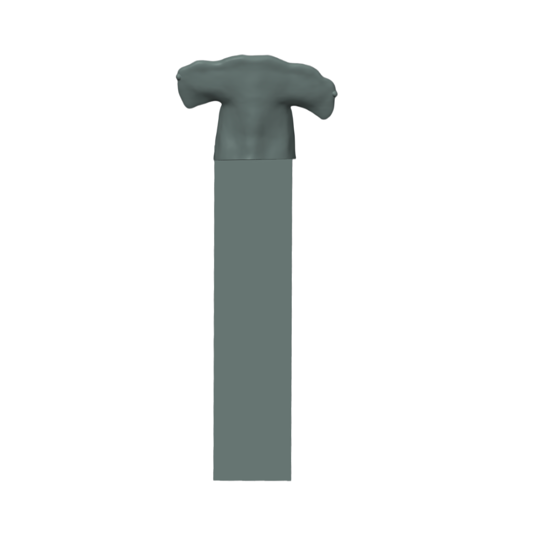 Tiburon Martillo Bookmark3D