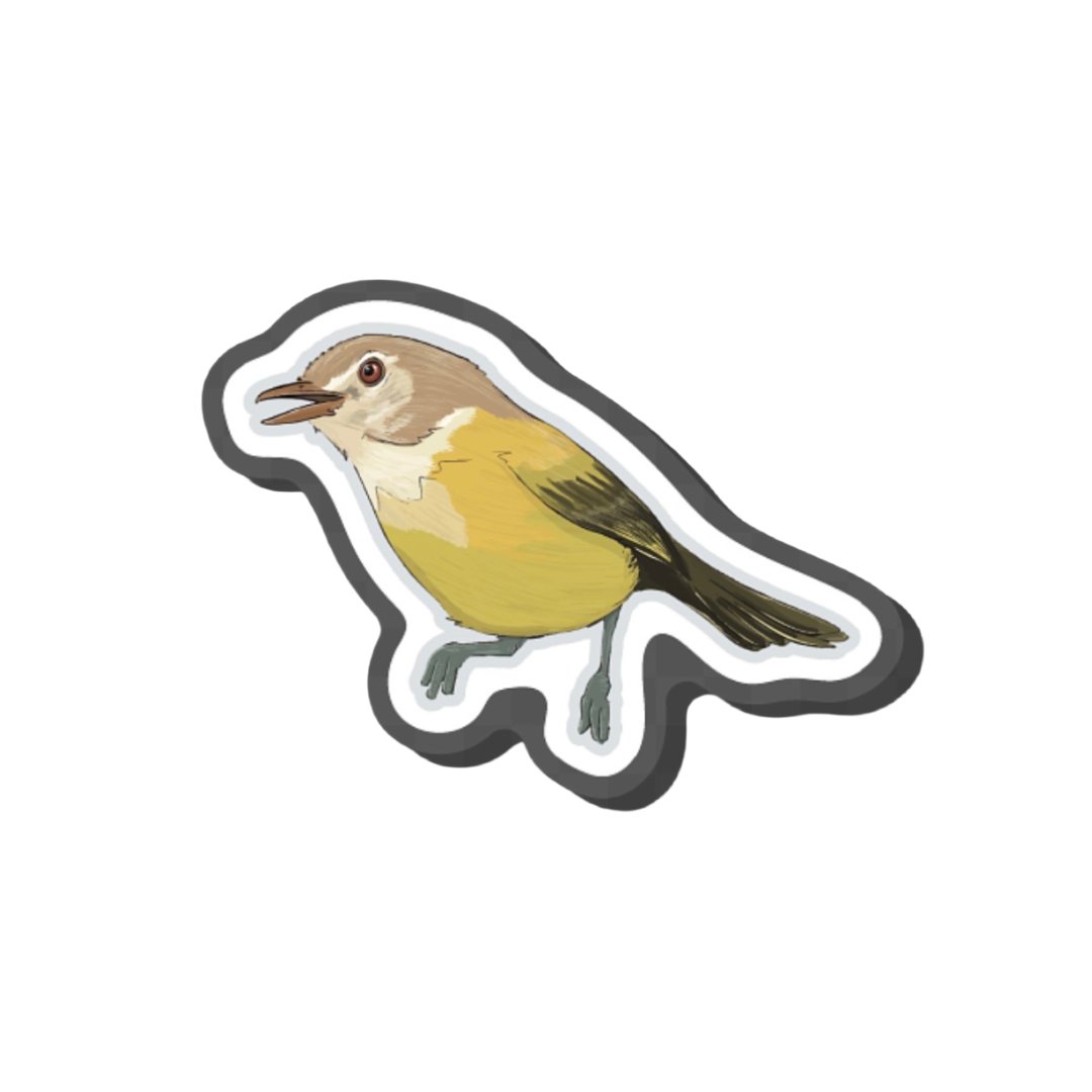 Bienteveo  pin