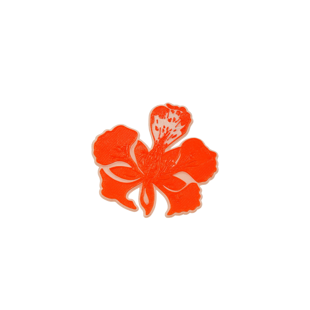 Flor de Flamboyán pin 3D