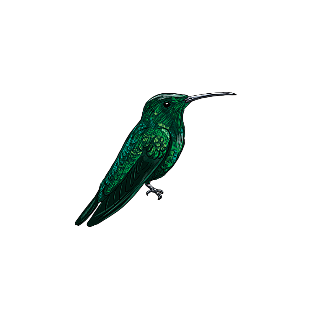 Zumbador Verde pin